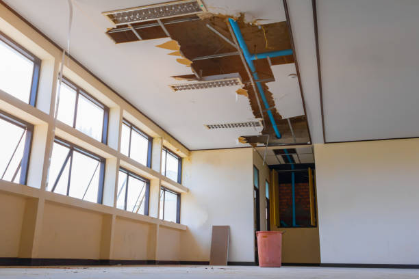 Best Water damage restoration services  in Taft, CA
