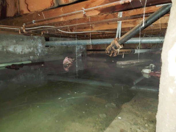 Best Sewage cleanup and water damage restoration  in Taft, CA