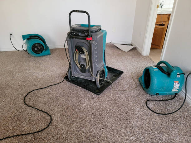 Best Water damage cleanup near me  in Taft, CA