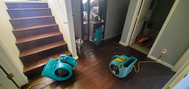 Best Ceiling water damage repair  in Taft, CA
