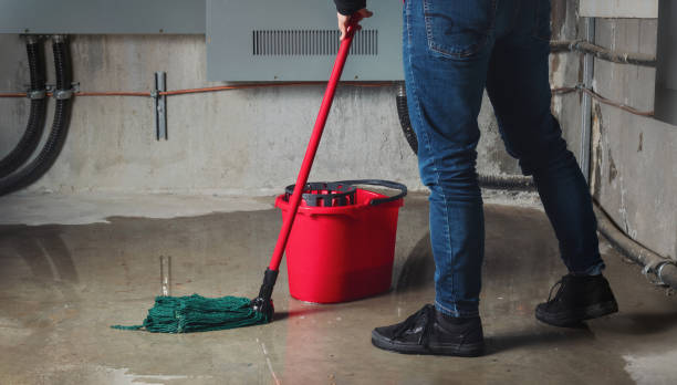 Best Residential water damage restoration  in Taft, CA