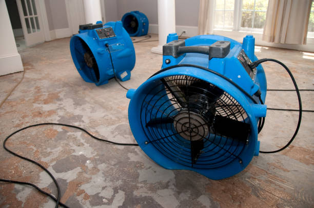 Best Ceiling water damage repair  in Taft, CA