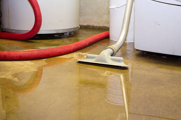 Best Professional water damage repair  in Taft, CA