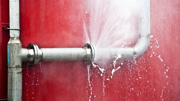 Best Flood restoration services  in Taft, CA