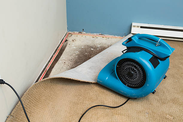 Best Emergency water damage restoration  in Taft, CA